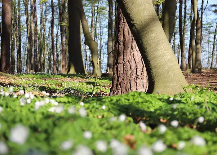 Wilhelmshöhe Hotel Rostock