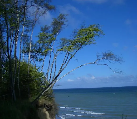 酒店 威尔赫姆索赫酒店