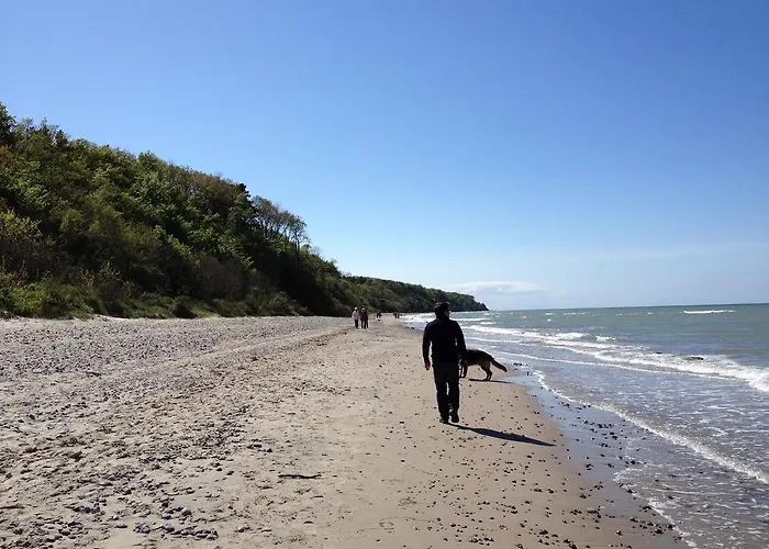 酒店 威尔赫姆索赫酒店 罗斯托克